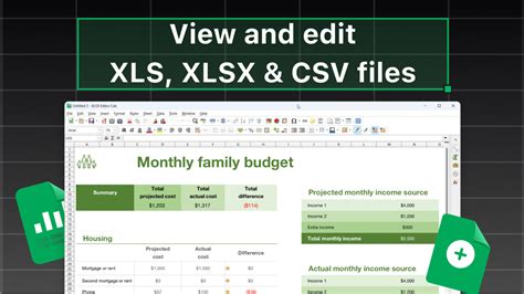 xlsx+|xlsx co to.